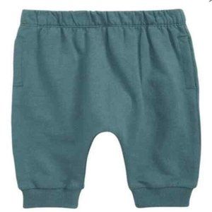Open Edit Kids Babies' Organic Cotton Joggers In Teal Needle Size 24mos NWT